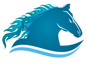 rWildRide